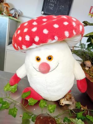 Fete-des-champignons-2024- (64)