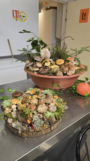 Fete-des-champignons-2024- (51)