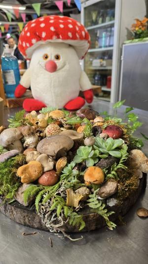 Fete-des-champignons-2024- (53)