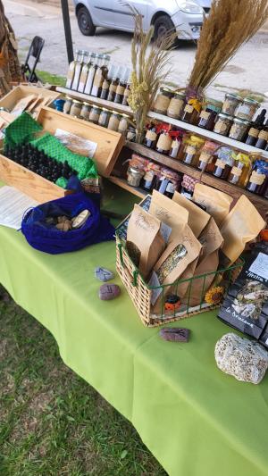 Fete-des-champignons-2024- (25)