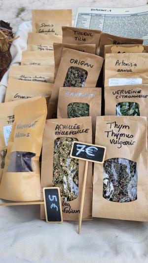 Fete-des-champignons-2024- (13)