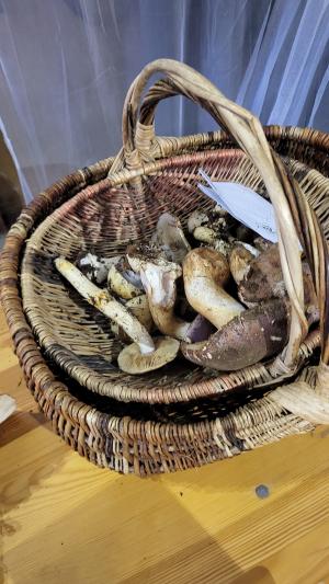 Fete-des-champignons-2024- (41)