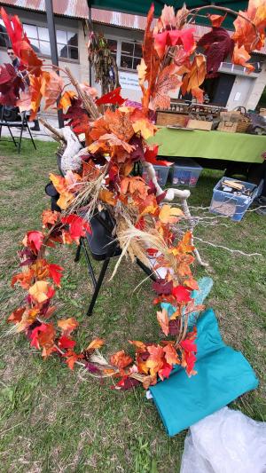 Fete-des-champignons-2024- (34)