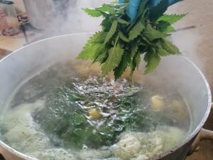 Fete-des-champignons-2024- (72)