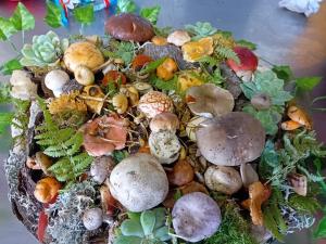 Fete-des-champignons-2024- (5)