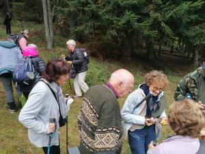 FETE-DES-CHAMPIGNONS-2024-CUEILLETTE (2)