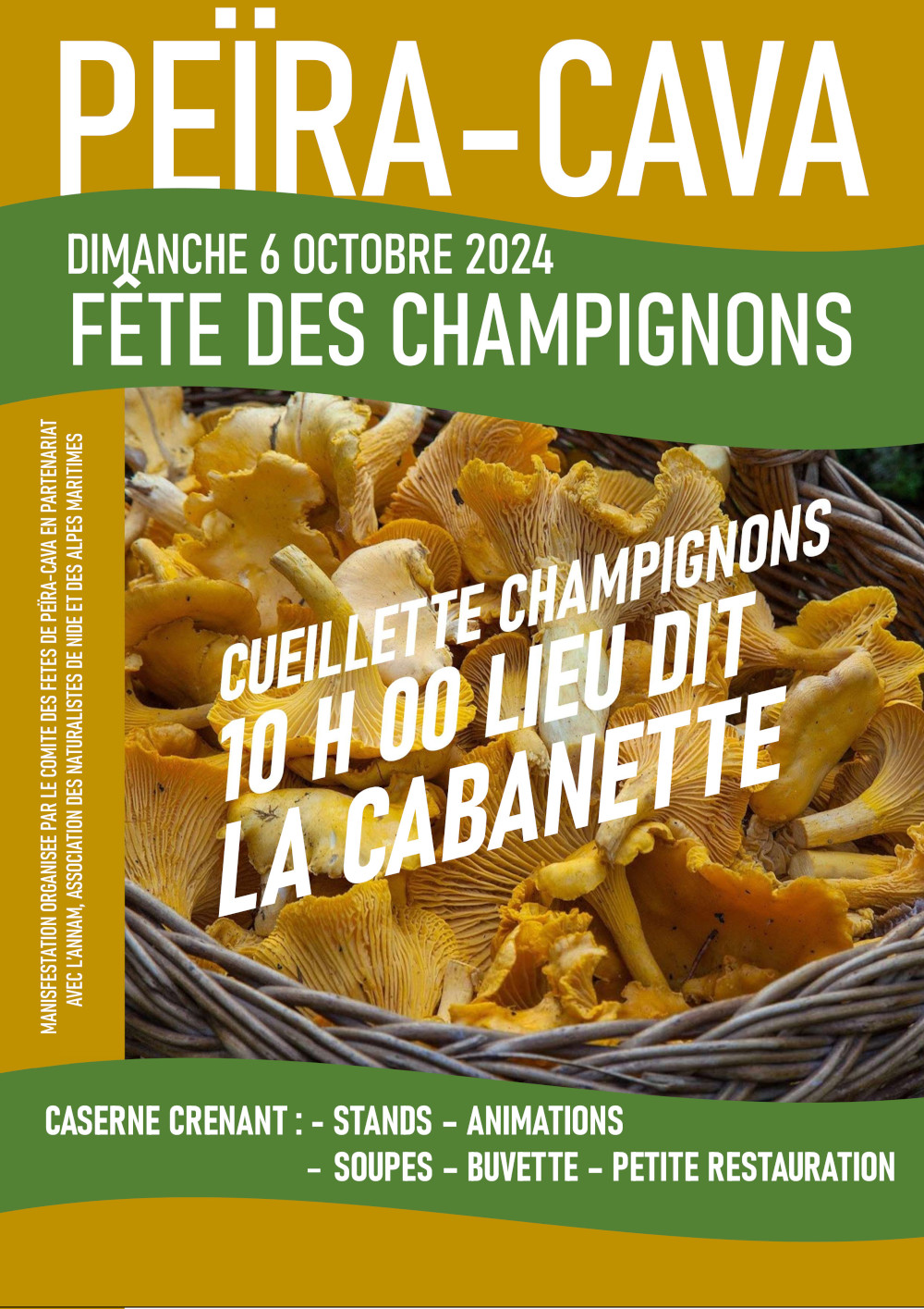 champignons2024